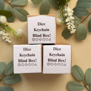 May include: Three small, white and tan boxes with the text "Dice Keychain Blind Box!" printed on the front. The boxes are arranged on a light yellow surface, surrounded by green leaves and white flowers.
