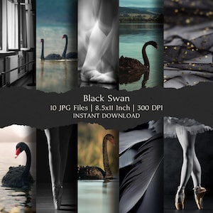 May include: A collage of images featuring black swans in various settings. The images include swans on water, ballet dancers, and abstract textures. Text reads "Black Swan" and details about the digital files.
