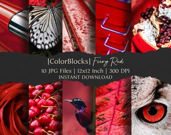 ColorBlocks-Fiery Red Digital Paper Kit 12x12 Inch,10 Digital INSTANT DOWNLOAD Hi-Res JPG for Junk Journal, Scrapbooking & Printable Crafts