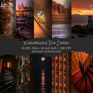 May include: A digital art print featuring a collection of ten images with a red and orange color scheme. The images include a bird on a branch, a cityscape, and a full moon over water. The text reads "[ColorBlocks] Red Dahlia" and "10 JPG Files | 8.5x11 Inch | 300 DPI INSTANT DOWNLOAD."