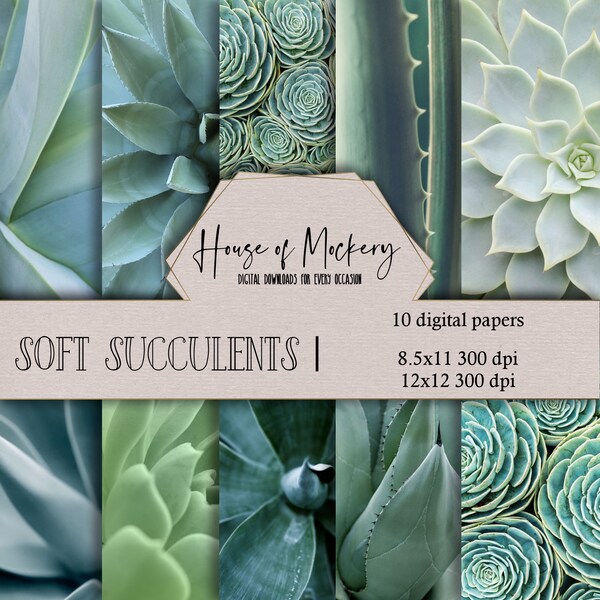 Paper Succulent - Etsy