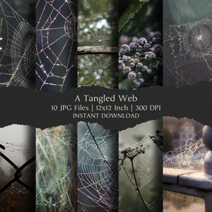 May include: A digital download featuring ten high-resolution JPG files. The images showcase various close-up shots of spiderwebs, with dew drops, in natural settings. The text reads "A Tangled Web" and specifies the file size as 12x12 inches.
