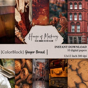 ColorBlock-Ginger Bread Digital Paper Kit 12x12 Inch, 10 Digital INSTANT DOWNLOAD High Definition 300 dpi, Junk Journal Scrapbook Background