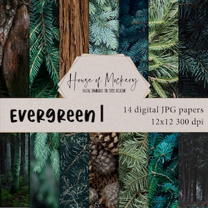 Evergreen Digital Scrapbook Paper Kit/12x12, 14 Digital INSTANT DOWNLOAD documenti ad alta definizione, alberi di vacanza scenici Digi Scrapbook Paper