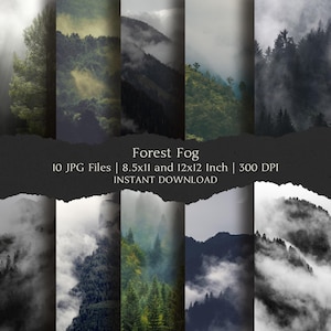 Könnte beinhalten: Eine digitale Sammlung von zehn Waldbildern mit Nebel, dunklen Bäumen und bergigen Landschaften. Der Text lautet Forest Fog, 10 JPG Files, 21,59x27,94 cm und 30,48x30,48 cm, 300 DPI, INSTANT DOWNLOAD. Die Bilder zeigen atmosphärische Waldszenen.