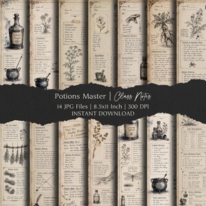 May include: A collection of 14 digital pages titled Potions Master Class Notes, featuring vintage-style parchment backgrounds with black ink illustrations of potion bottles, cauldrons, herbs, and handwritten text detailing ingredients and brewing instructions.