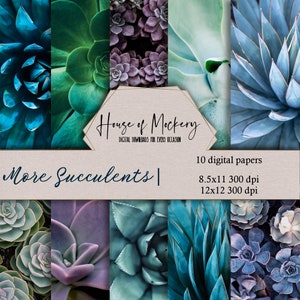 More Succulents Digital Scrapbook Paper Kit 8.5x11 and 12x12, 10 Digital INSTANT DOWNLOAD High Definition Paper Succulent Scrapbook Paper