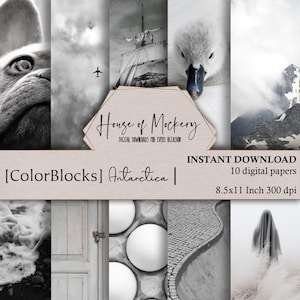 ColorBlock-Antarctica Digital Paper Kit 8.5x11 Inch, 10 Digital INSTANT DOWNLOAD High Definition 300 dpi, Junk Journal Scrapbook Backgrounds