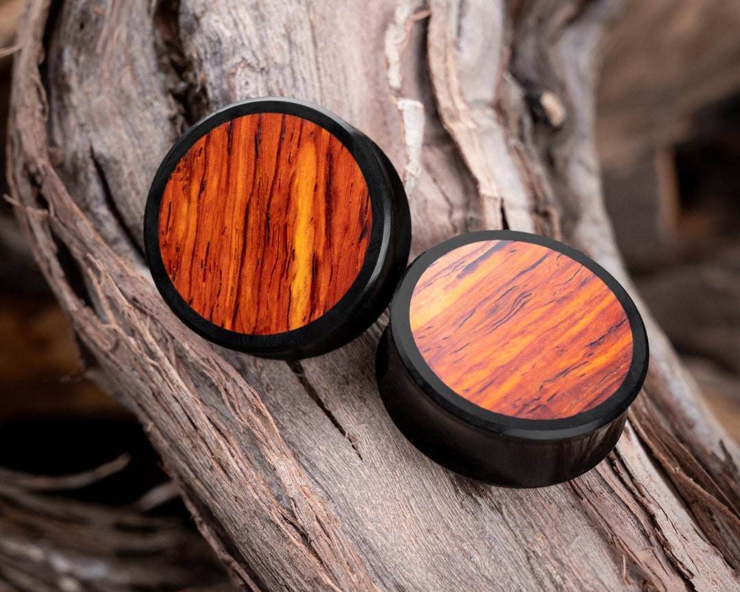 Pair of Ear Plugs, Ear Plugs With Wood Insert, Plug and Tunnel, Plug