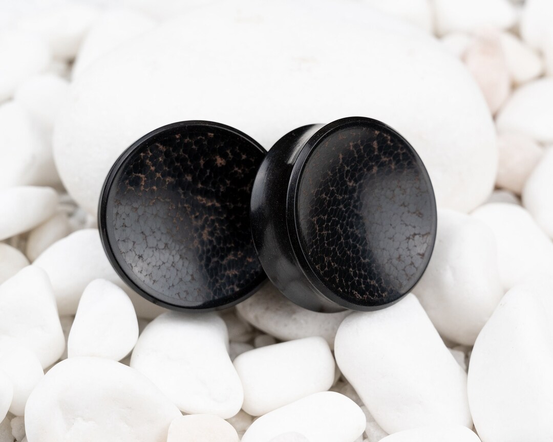 Ear Plugs With Black Palm Wood, Plugs and Tunnels, Ear Gauges 12mm 14mm