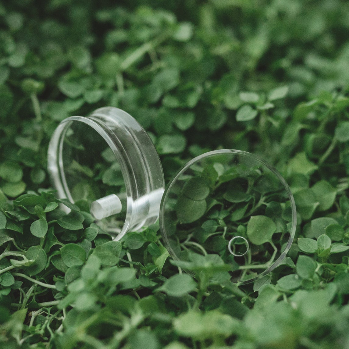 Clear Ear Plugs With Holes Clear Ear Plugs Plexiglas Ear Etsy