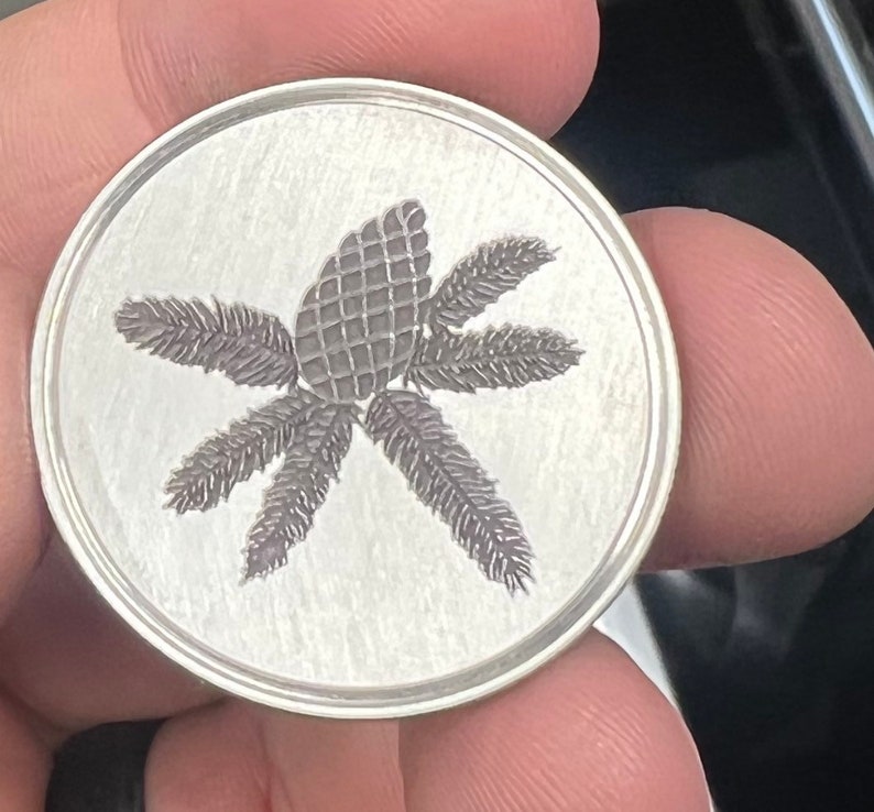 Puede incluir: Una moneda redonda de color plateado con un grabado detallado de una pi&ntilde;a rodeada de agujas de pino estilizadas. La moneda tiene un acabado de metal cepillado y un borde en relieve.