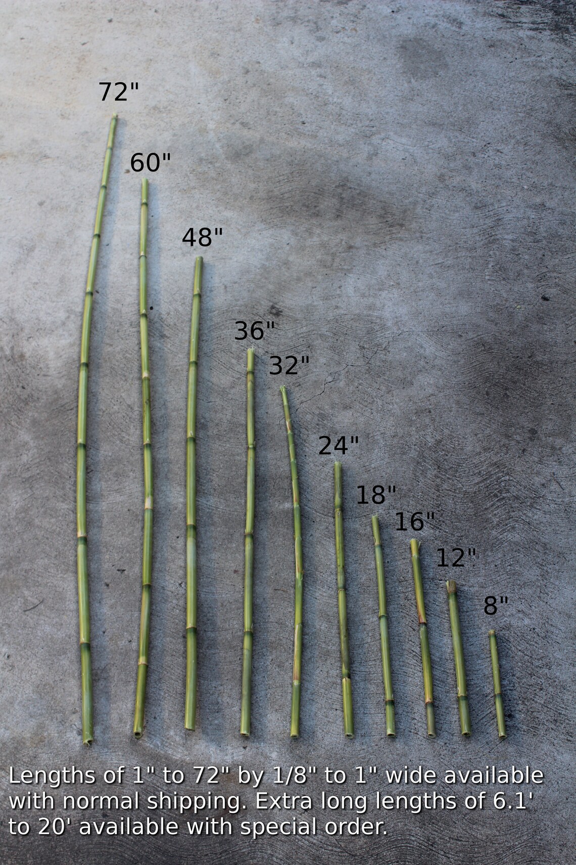 Getrocknete 24 Natürliche Gartenpfähle Bambus Schilf | Etsy