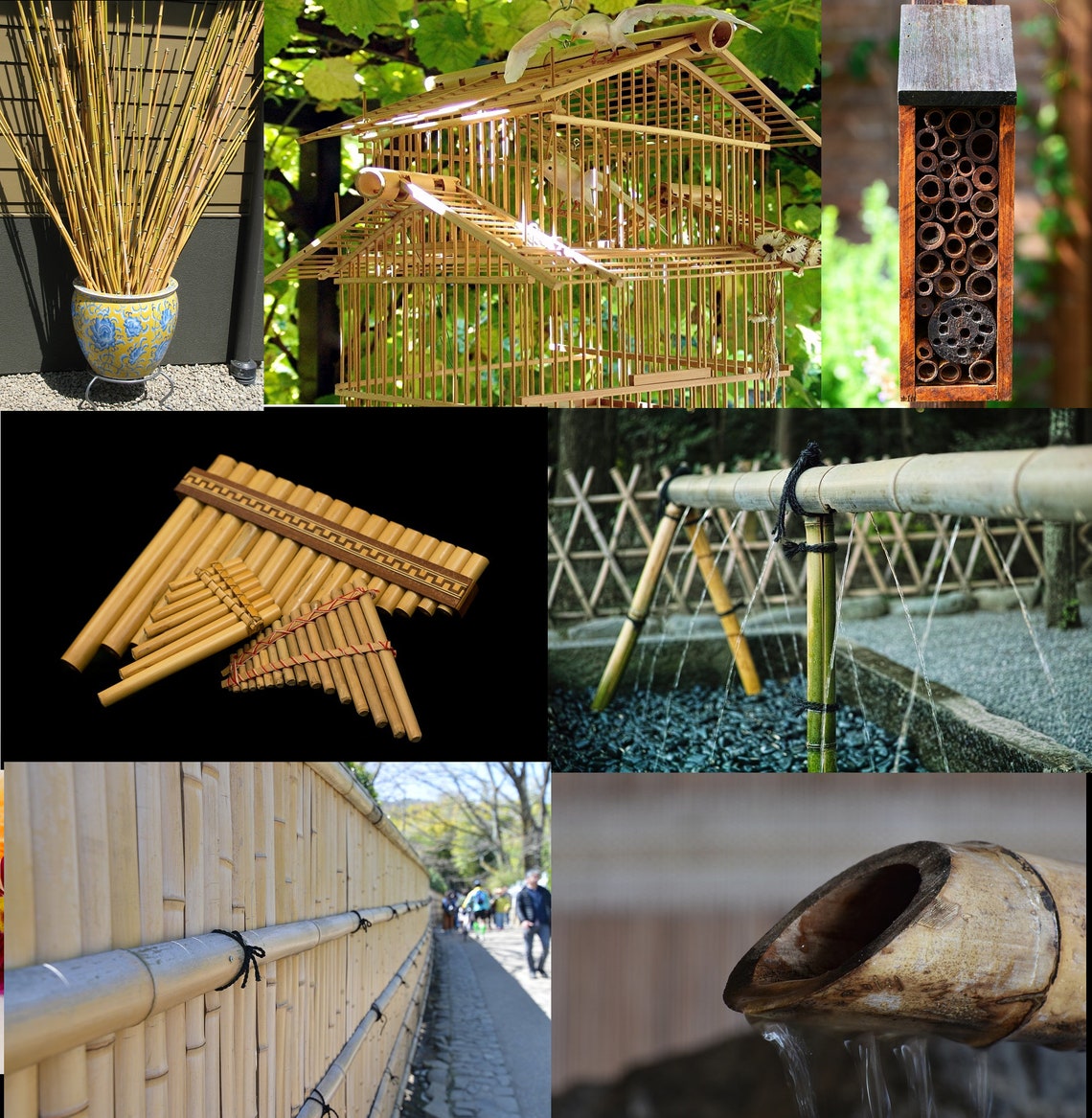 3x 16 Natürliche Gartenpfähle Bambus Schilf | Etsy