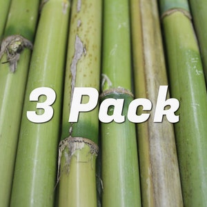 Bamboo Sticks 20 Pcs Pack Natural Craft Material Wood Wooden Reed