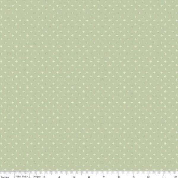 Gingham Gardens Green - by My Mind's Eye for Riley Blake Designs - C10357 - Sold By the Yard Cut Continuously -For Apparel, Crafts, Quilting