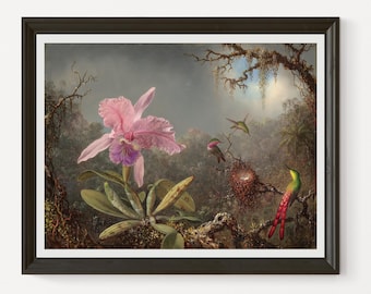 Cattleya Orchid and Three Hummingbirds by Martin Johnson Heade 1871 oil on wood classic painting printable art.