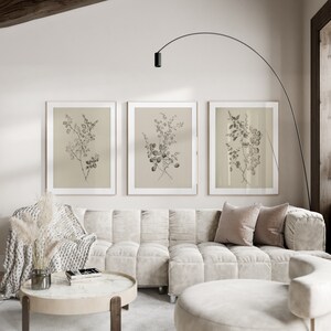 Botanical Illustrations Wall Art Downloadable Prints Set of 3 - Botanic Wall Art, Minimalist, Printable