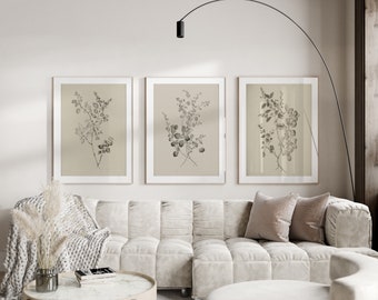 Botanical Illustrations Wall Art Downloadable Prints Set of 3 - Botanic Wall Art, Minimalist, Printable