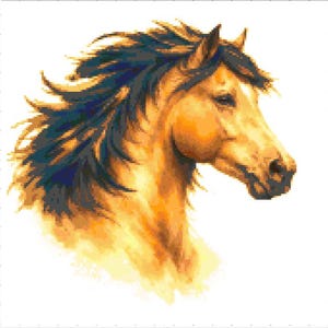 Könnte beinhalten: Digitaldruck eines Pferdekopfes, der eine warme Farbpalette zeigt. Das Fell des Pferdes ist eine Mischung aus goldenen und braunen Farbtönen, mit einer dunklen Mähne. Das Kunstwerk ist vor einem weißen Hintergrund platziert.