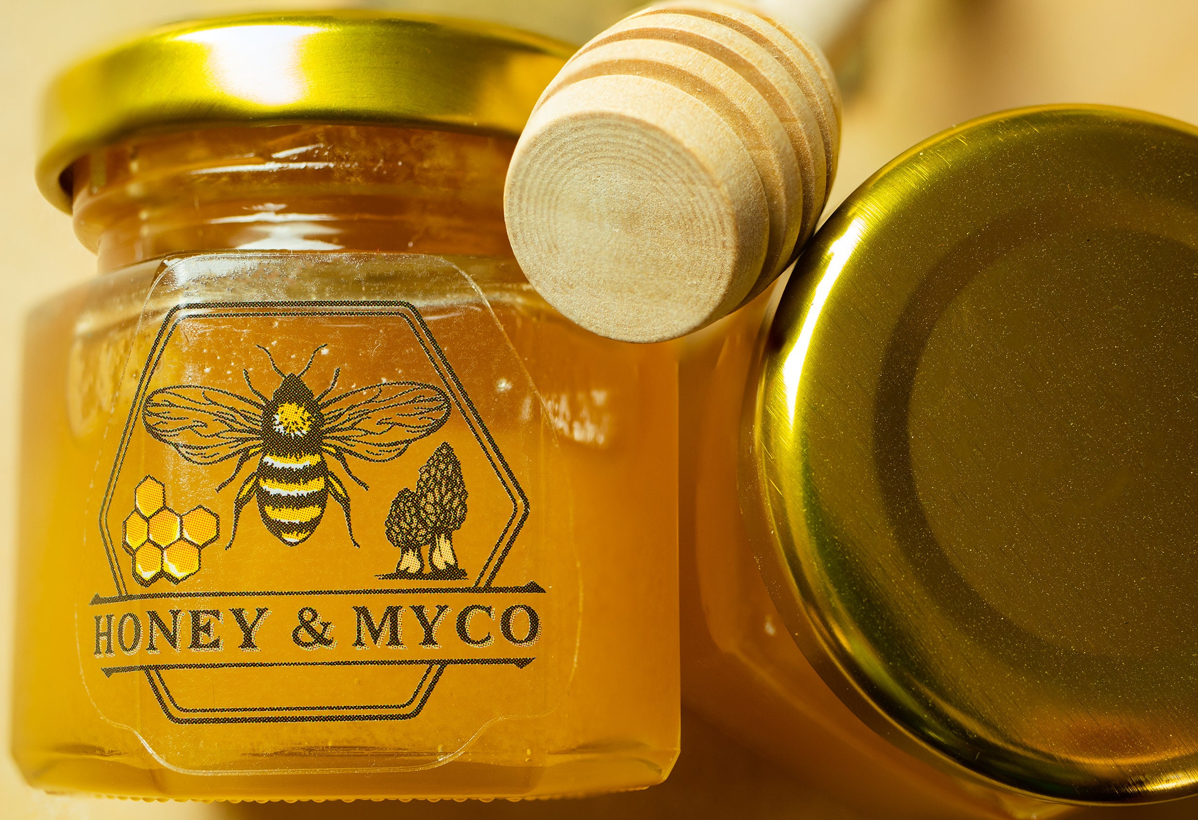 1.5 Ounce Jars of Local Honey 4 Pack Etsy New Zealand