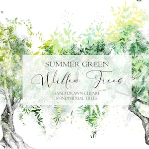 Green Willow Tree Clipart, Hand Drawn Sketches, Salix Forest Art Illustrations for Digital Collage,  Scrapbooking, PNG SVG Instant Download