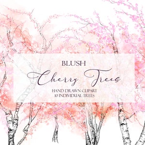 Blush Cherry Trees Clipart, Pink Cherry Blossom Branch, Japanese Flower Forest Wall Art, Hand Sketched Woodland Illustrations, PNG Télécharger