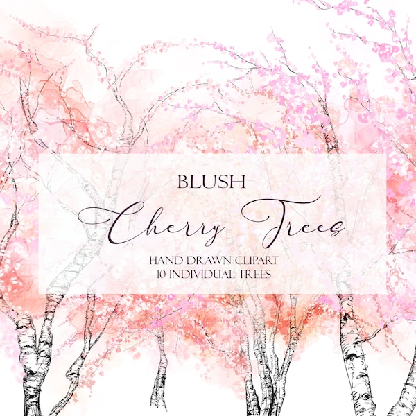 Blush Cherry Trees Clipart, Pink Cherry Blossom Branch, Japanese Flower Forest Wall Art, Hand Sketched Woodland Illustrations, PNG Download