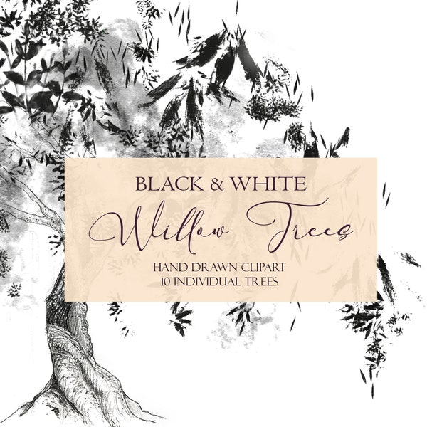 Black & White Willow Tree Clipart, Hand Drawn Sketches, Salix Art Illustrations for Digital Collage,  Scrapbooking, PNG SVG Instant Download