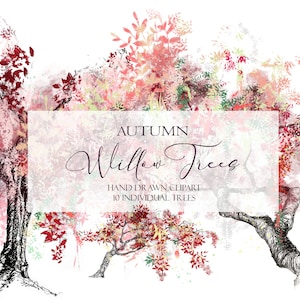 Arbres d’automne Clipart, Bourgogne Mauve Pleurons Saules, Croquis d’automne dessiné à la main, Woodland Forest Wall Art Illustrations, Imprimable Télécharger PNG
