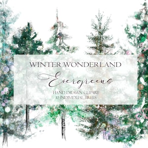 Evergreen Trees Clipart, Winter Wonderland Christmas Conifers Pines, Holiday Snow Green Forest Wall Art, Hand Sketched PNG Illustraties