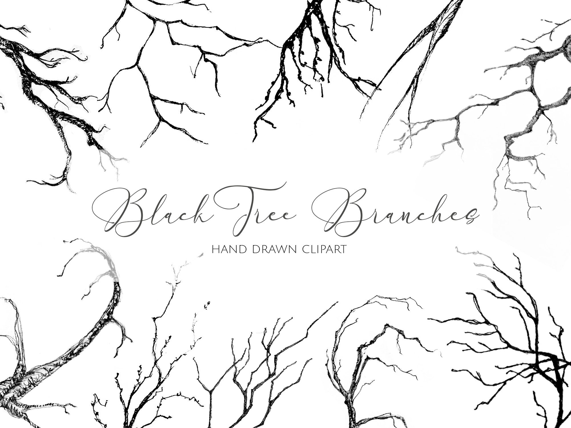 Buy Black Tree Branches PNG Clipart, Haunted Forest, Spooky Branch  Silhouette for Digital Sticker, Scary Halloween Illustrations, Scrapbook  Online in India - Etsy, image size:2000x1500