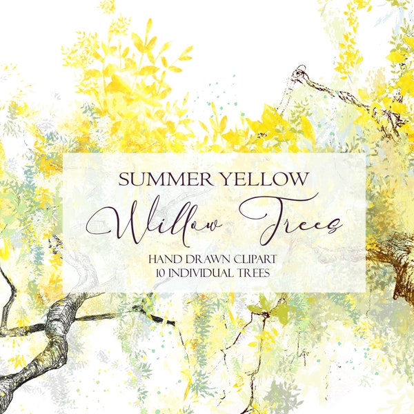 Yellow Willow Tree Clipart, Hand Drawn Sketches, Salix Forest Art Illustrations for Digital Collage,  Scrapbooking, PNG SVG Instant Download