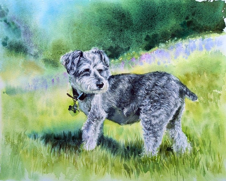May include: A watercolor painting of a gray Schnauzer dog standing in a grassy field. The dog has a dark collar with a small bone-shaped tag hanging from it. The background features soft, blended washes of green and purple, suggesting foliage.