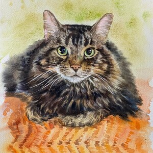 May include: A watercolor painting of a long-haired brown tabby cat with green eyes, white whiskers, and dark brown stripes. The cat is positioned in a resting pose against a soft, blended green and yellow background, sitting on an orange surface.