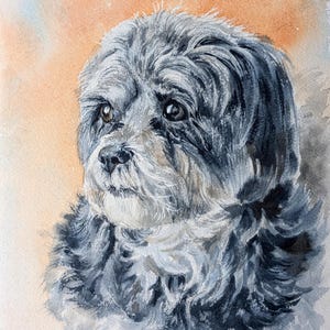May include: A watercolor painting of a small dog with long, dark gray and black fur. The dog has dark brown eyes and a black nose, looking toward the left. The background is a soft, blended wash of orange, peach, and light blue tones.