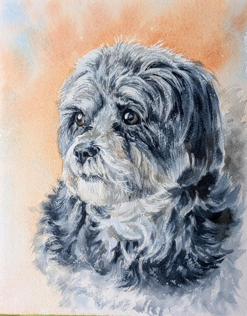 May include: A watercolor painting of a small dog with long, dark gray and black fur. The dog has dark brown eyes and a black nose, looking toward the left. The background is a soft, blended wash of orange, peach, and light blue tones.