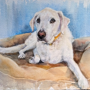 May include: A watercolor painting of a white dog with a yellow collar lying down on a tan cushion. The dog has dark eyes and a dark nose, with its body angled toward the viewer. The background is a soft, textured blue wash of watercolor paint.