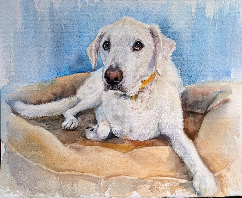 May include: A watercolor painting of a white dog with a yellow collar lying down on a tan cushion. The dog has dark eyes and a dark nose, with its body angled toward the viewer. The background is a soft, textured blue wash of watercolor paint.