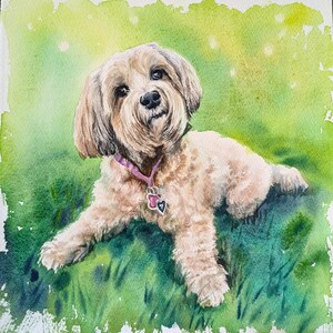 May include: A watercolor painting of a light brown, fluffy dog with floppy ears and a pink collar featuring a heart-shaped tag. The dog is positioned in a field of vibrant green grass with a soft, light-filled, and painterly background.