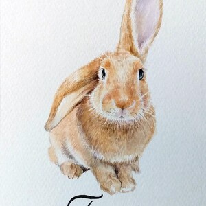May include: A watercolor painting of a light brown rabbit with one ear standing upright and one ear folded down. The rabbit has dark eyes and detailed fur texture. Below the rabbit, the name Figgy is written in black cursive script with small leaf icons.