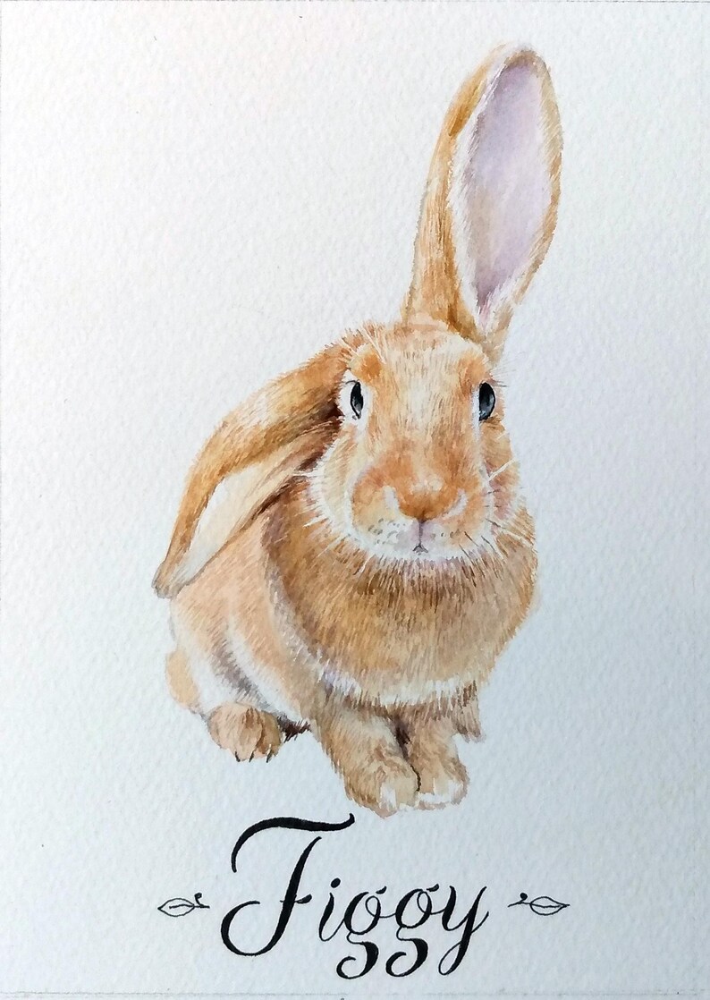May include: A watercolor painting of a light brown rabbit with one ear standing upright and one ear folded down. The rabbit has dark eyes and detailed fur texture. Below the rabbit, the name Figgy is written in black cursive script with small leaf icons.