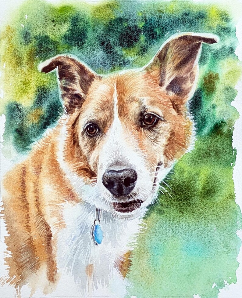 May include: A watercolor painting of a dog with brown and white fur, featuring upright ears, dark brown eyes, and a black nose. The dog wears a collar with a small blue tag. The background is a soft, blended wash of green and yellow tones.