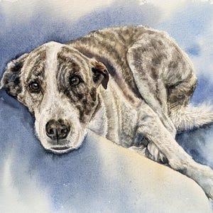 May include: A watercolor painting of a dog with brown and white mottled fur, featuring a white stripe on its face and dark eyes. The dog is lying down in a resting position against a soft, blended blue background with visible paint textures.