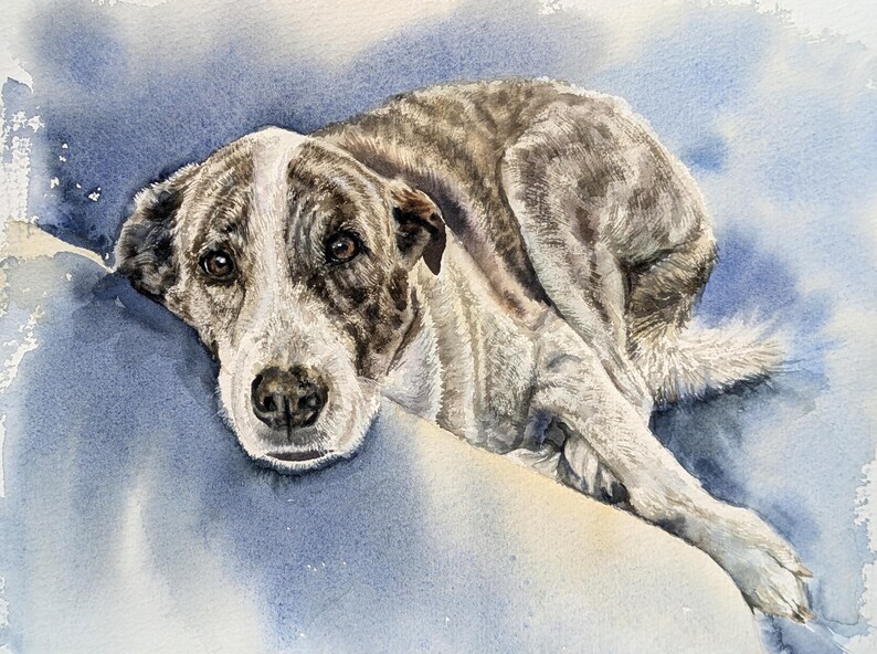 May include: A watercolor painting of a dog with brown and white mottled fur, featuring a white stripe on its face and dark eyes. The dog is lying down in a resting position against a soft, blended blue background with visible paint textures.