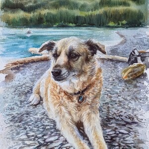 May include: A watercolor painting of a tan dog with dark ears and a black collar with a small tag, lying on a grey pebble beach. The background features a calm blue lake and a green forested hillside under a soft, light-colored sky.