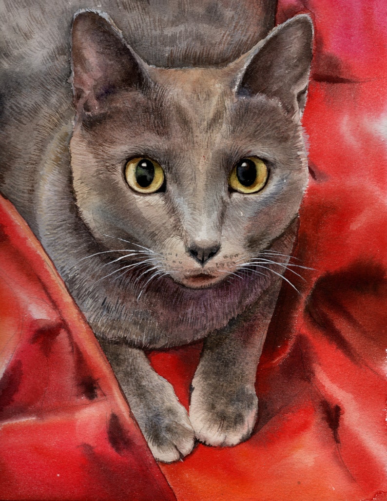 Professional hand painted watercolor Pet Portraits from your Etsy
