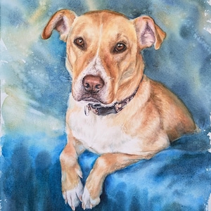 May include: A watercolor painting of a tan dog with white markings on its face and paws. The dog has brown eyes, a pinkish nose, and wears a dark patterned collar. It is positioned against a blended blue and teal watercolor wash background.