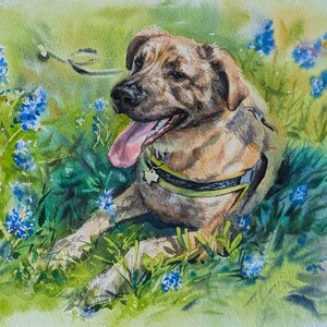 May include: A watercolor painting of a tan dog with a black muzzle and floppy ears, wearing a black and yellow harness with a star-shaped tag. The dog has its tongue out and is lying in a field of green grass and small blue flowers.