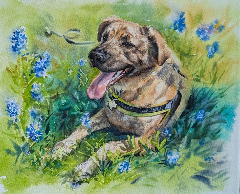 May include: A watercolor painting of a tan dog with a black muzzle and floppy ears, wearing a black and yellow harness with a star-shaped tag. The dog has its tongue out and is lying in a field of green grass and small blue flowers.